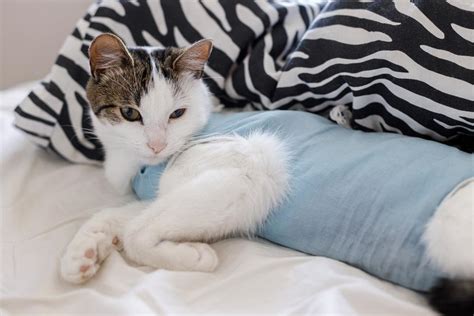 Zväčšený záber na keloidnú jazvu, ktorá ilustruje následky popálenín