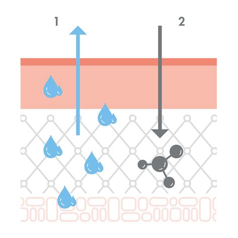 Infografika o dôležitosti hydratácie a premastenia pokožky pri atopickom ekzéme.