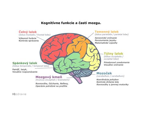 Infografika zobrazujúca hlavné hormóny ovplyvňujúce akné a ich funkcie