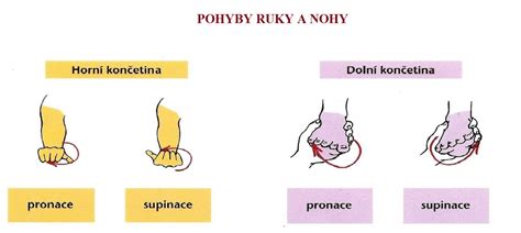 Návodné obrázky demonštrujúce správne techniky nanášania gélu a pohyby žehličky po tvári