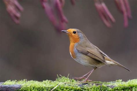 Fotografia dlaní s oranžovým nádychom