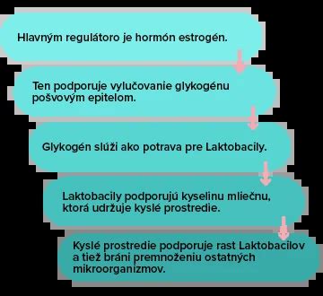 Schéma znázorňujúca rozdiely medzi vaginálnou mykózou a bakteriálnou vaginózou