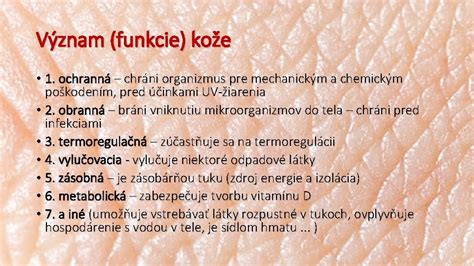 Schéma vrstiev kože a ich funkcie