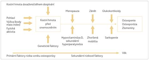 Schéma zobrazujúca faktory prispievajúce k vzniku plienkovej dermatitídy: vlhkosť, trenie, teplo, chemikálie