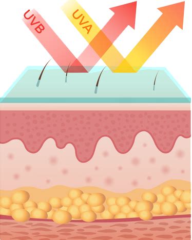 infografika zobrazujúca fungovanie SUN BARRIER TECHNOLÓGIE