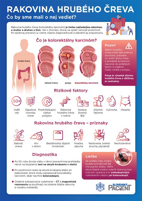 Infografika zobrazujúca prepojenie zdravého čreva a zdravej pokožky.
