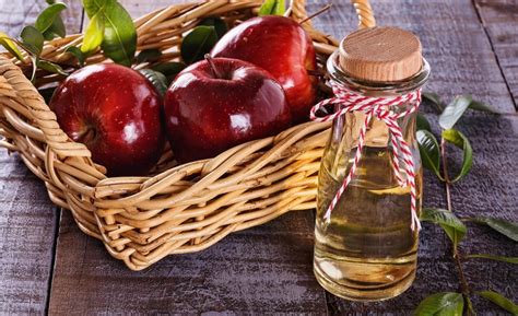 Fotografia rôznych prírodných zložiek, ako sú jablčný ocot, aloe vera a med.