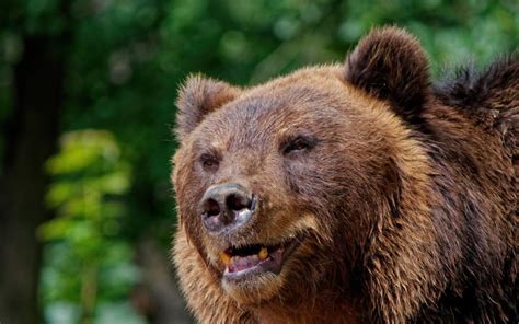 Vizualizácia znázorňujúca odporúčané materiály oblečenia pre atopikov a materiály, ktorým sa treba vyhýbať.