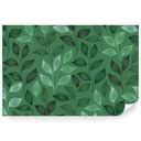 Ilustrácia rastliny ovsa Rhealba®.