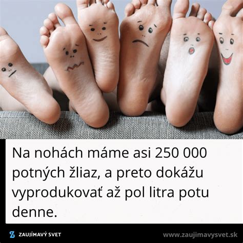 Ilustrácia detskej pokožky s detailným zobrazením potných žliaz