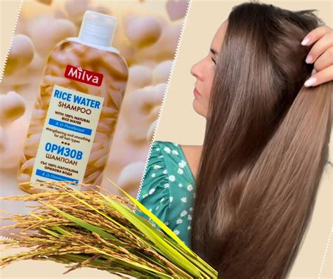 Porovnanie rôznych typov šampónov pre mastné a suché vlasy.