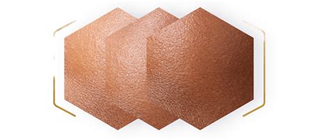 Štruktúra pleti s vyznačenými mazovými žľazami a vlasovými folikulmi