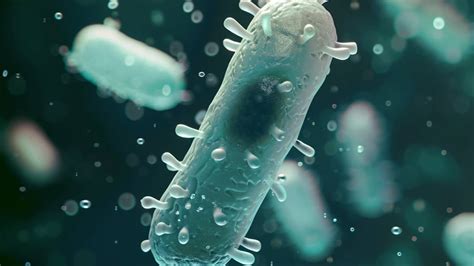 ilustrácia vitamínov a minerálov dôležitých pre imunitný systém