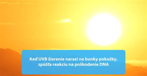 obrázok znázorňujúci rozdiel medzi chránenou a nechránenou pleťou na slnku