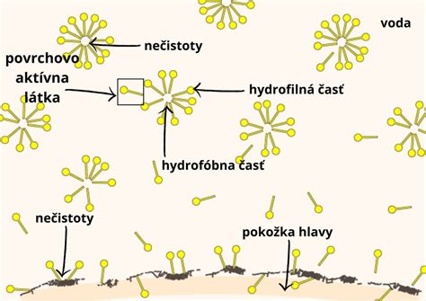 Infografika: Hlavné aktívne zložky v čistiacich géloch