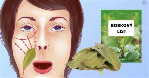 ilustračná schéma domácej prípravy pleťového tonika z bobkového listu
