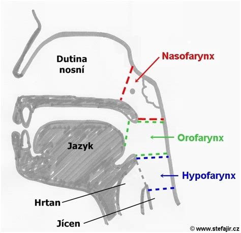 Schéma zobrazujúca typickú lokalizáciu vyrážok pri periorálnej dermatitíde v okolí úst a nosa
