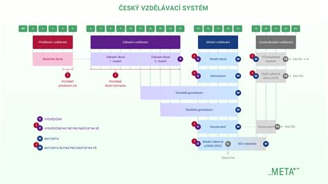 Schéma znázorňujúca reakciu imunitného systému pri kontakte s alergénom na pokožke