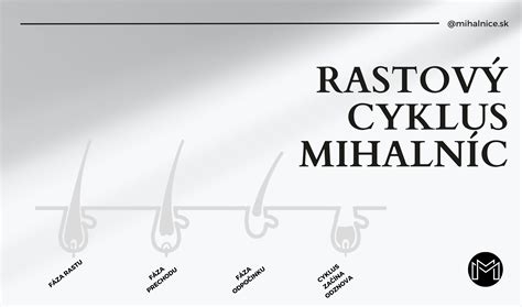 Graf znázorňujúci rastový cyklus mihalníc a vplyv výživy na ich hustotu