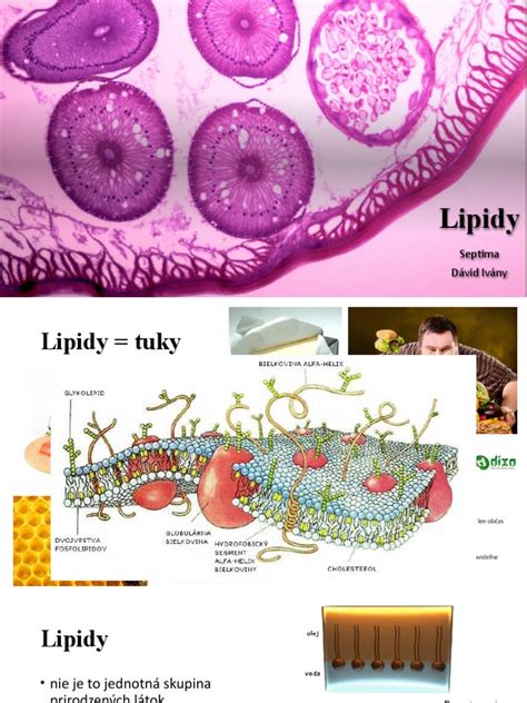 Schéma: Ako patentovaný komplex Bioderma stimuluje aquaporíny a lipidy v pokožke