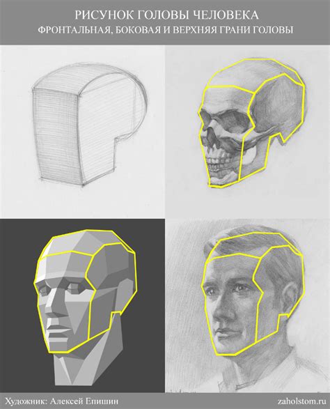 ilustrácia základných proporcií ľudskej tváre