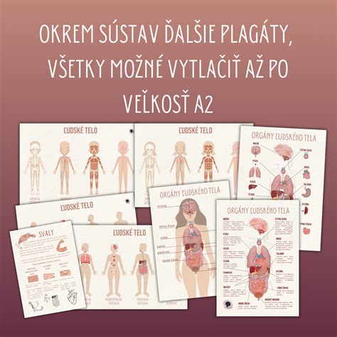 Infografika o dôležitosti hydratácie pre ľudské telo a výkon