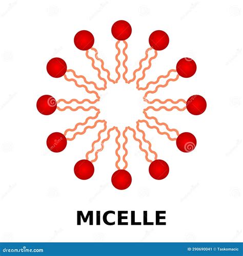 Schéma fungovania micel: hydrofilný obal a lipofilné jadro priťahujúce nečistoty ako magnet