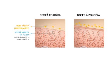 Ilustrácia rozdielu medzi zdravou kožnou bariérou a podráždenou pleťou vyžadujúcou šetrnú starostlivosť
