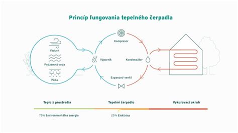 Infografika: Princíp fungovania enzymatického peelingu na bunkovej úrovni