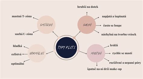 infografika: typy pleti a ich charakteristika