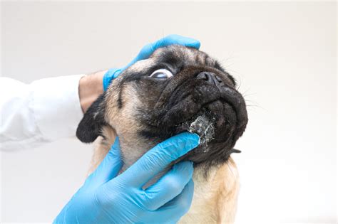 Infolgrafika: Prehľad najčastejších kožných problémov a kedy navštíviť dermatológa