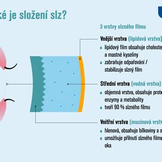 Inforgrafika: Schéma slzného filmu a jeho jednotlivých vrstiev.