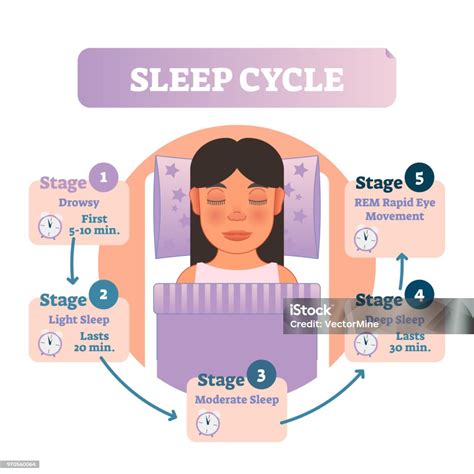 Infografika zobrazujúca cyklus spánku a jeho vplyv na regeneráciu pokožky, spolu s tipmi na zdravú stravu.