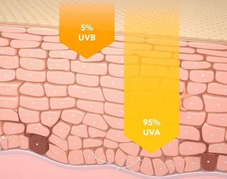 Infografika ukazujúca pôsobenie UVA/UVB filtrov a antioxidantu licochaicon A