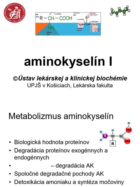 Infografika vysvetľujúca úlohu kyseliny hyalurónovej, aminokyselín a elektrolytov v pleti