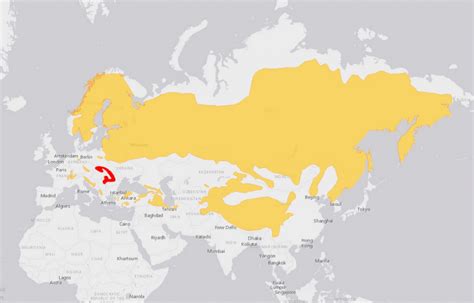mapa tela s vyznačením špecifických oblastí výskytu vyrážok