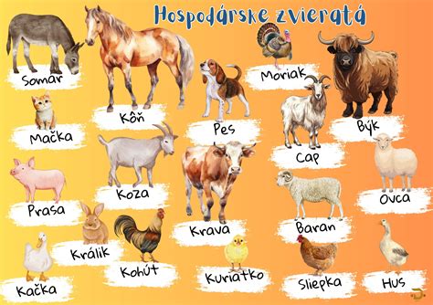 ilustrácia rôznych parazitov (červy, kliešte, svrabovce) napádajúcich hospodárske zvieratá