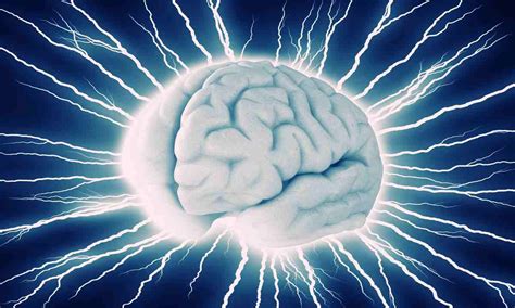 schematický obrázok mozgu s vyznačenými oblasťami postihnutými neurodegeneráciou