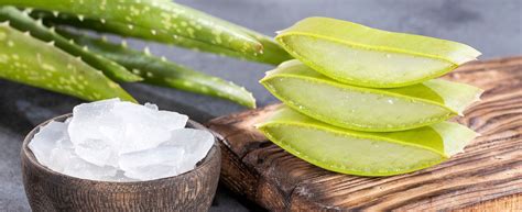 tematické foto - upokojená pleť vďaka aloe vera