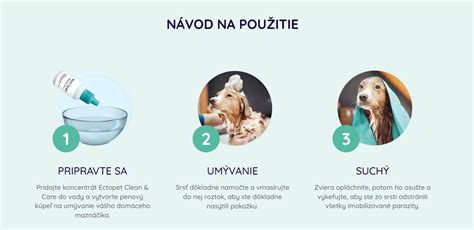 infografika o častých kožných problémoch