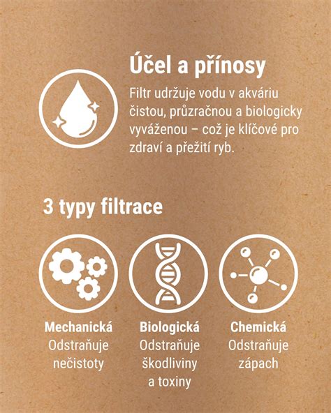 Infografika: Typy exfoliácie (chemická vs. mechanická)