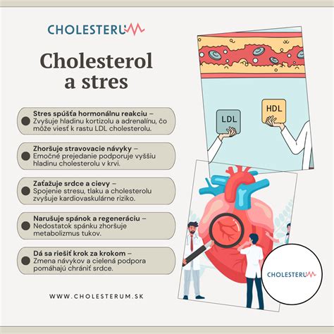 Infografika: Vplyv stresu na tvorbu kolagénu a elastínu v pokožke