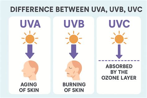 Infografika o typoch UV žiarenia (UVA a UVB) a ich vplyve na pokožku