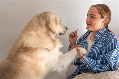 Majiteľ psa konzultuje s veterinárnym lekárom o kožnom probléme svojho zvieraťa