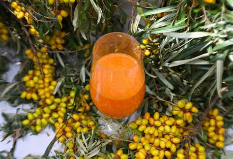 Ilustračné foto plodov rakytníka