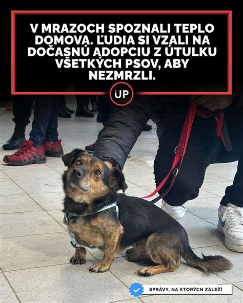 ilustračné foto: detail psieho kožného záhybu s podráždením