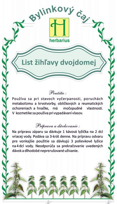 ilustrácia žihľavy dvojdomej v prírode