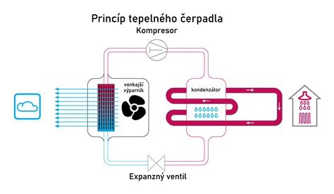schéma: ako funguje elektroporácia