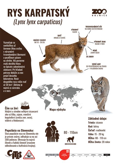 Infografika: Logo PLUS LEKÁREŇ a informácie o sieti