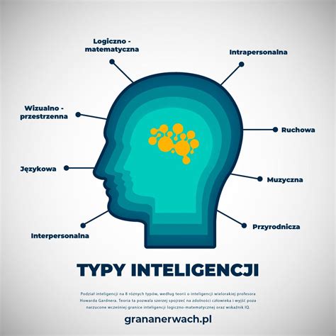 Infografika: Typy alopécie a ich charakteristiky